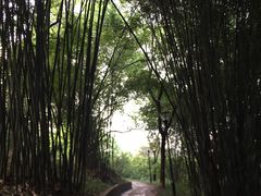 -石峰公园
