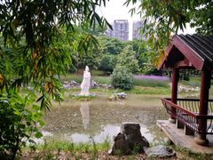 -堤角公园