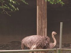 -合肥野生动物园