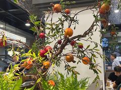 -洞庭家宴·头牌甲鱼(广渠门店)