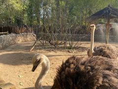 -北京野生动物园