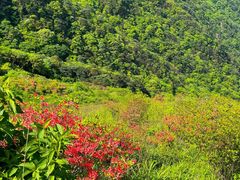 -萍乡武功山风景名胜区