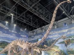 -自贡恐龙博物馆