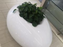 -圣亚购物中心