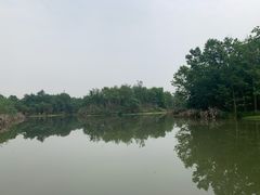 -桤木河湿地公园