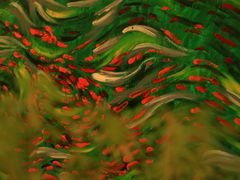 -红鼎豆捞·非遗鲍皇汤火锅(宝丰路店)