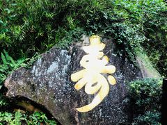 -天鹿湖森林公园