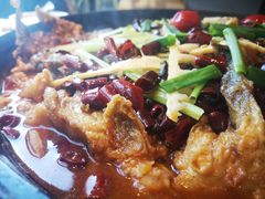 -老板恋上鱼(恒隆广场店)