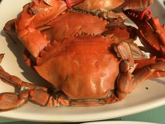 -海天一色海景自助餐厅(西港花园店)