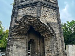 -上海佘山国家森林公园天马山园