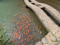 -温州永嘉书院