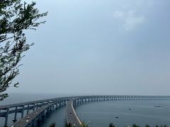 -星海湾跨海大桥