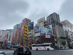 -秋叶原电器街