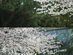 -阳澄湖费尔蒙酒店