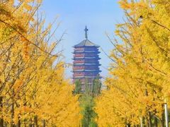 -北京园博大酒店