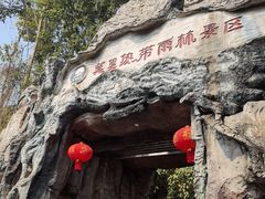 -莫里热带雨林景区