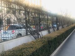 -北京市海淀外国语实验学校