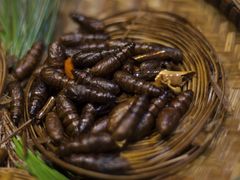 -昆虫窝子·特色云南菜(拓东路总店)