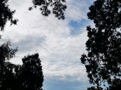 -香山公园