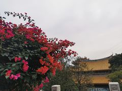 -天竺岩寺