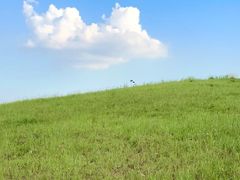 -三圣花乡旅游区