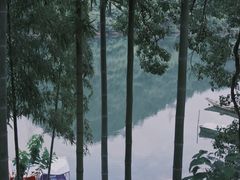 -原乡芦茨咖啡