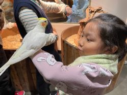 -Zoolung Zoolung动物主题公园(海信广场店)