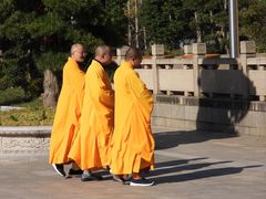 -海天禅寺