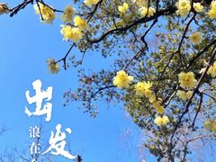 -沧浪亭