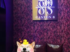 -喜粤8号(四海唐人街店)