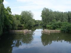 -溱湖国家湿地公园