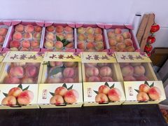 -南汇水蜜桃采摘(大团店)
