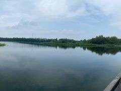 -溱湖国家湿地公园