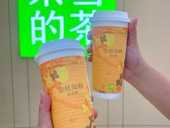 -奈雪的茶(中洲πmall店)