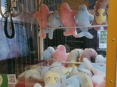 -不可思议减压馆·解压博物馆·摔碗发泄·团建定制