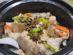 藤椒焗鲈鱼-阳春市花园酒店