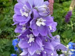 -上海植物园·停车场