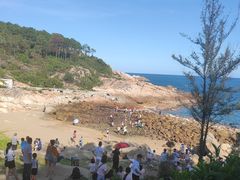 -广东惠东海龟国家级自然保护区