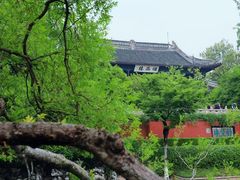 -小红鲸·海鲜餐厅(轸大路店)