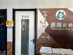 -美联众合宠物医院·爱萌分院·内外科·猫科中心