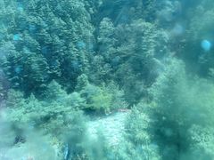 -苍山感通索道