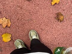 -番禺大夫山森林公园
