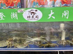 -阳澄湖大闸蟹·琼灵阁牌品牌连锁(吴中总店)