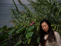-东湖落雁景区