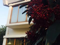 -苏体天云湖运动度假村