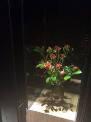 点击看大图 -美壹生皮肤管理中心