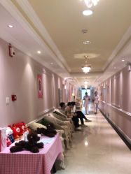 -北京俪婴妇产医院(朝阳大悦城店)