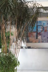 -Hair  Gallery