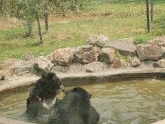 -无锡动物园·太湖欢乐园