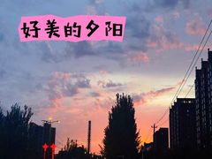 -吉林大学(前卫南区)